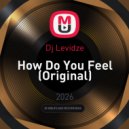 Dj Levidze - How Do You Feel (Original)